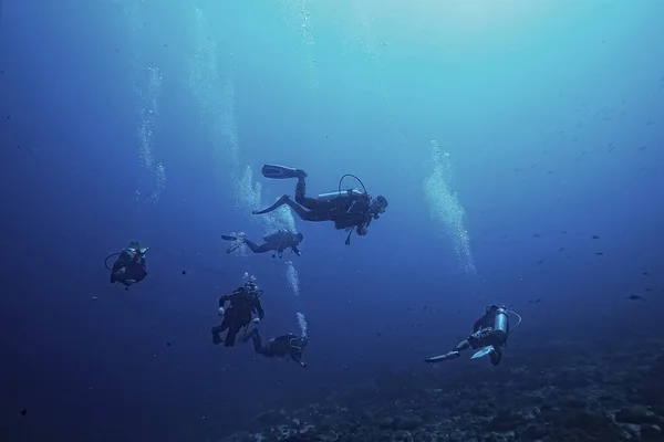 一群潜水者在混浊的 不干净的水中 危险的潜水 — 图库照片
