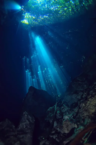 Paisaje Submarino Mexico Cenotes Buceo Rayos Luz Bajo Agua Fondo — Foto de Stock