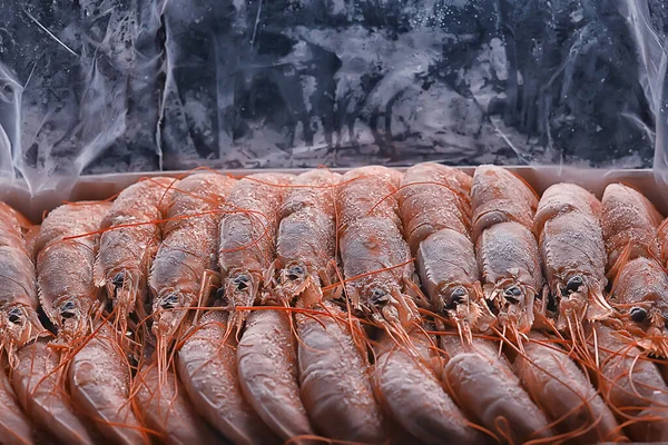 Donmuş Kral Karidesler Makro Arka Plan Deniz Ürünleri Taze Kırmızı — Stok fotoğraf