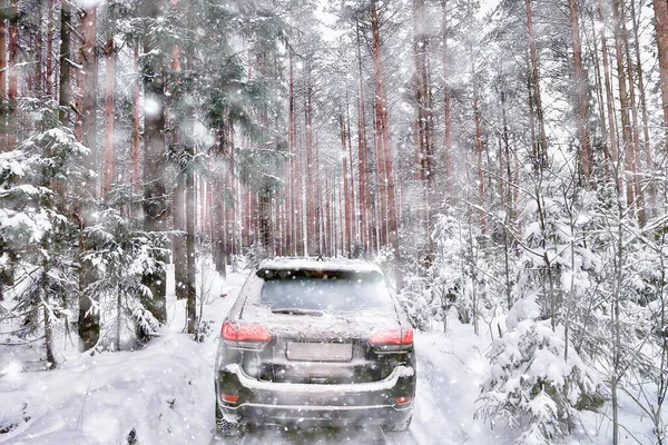 Samochód Lesie Zimowym Podróże Krajobrazowe Lesie Śnieżnym — Zdjęcie stockowe