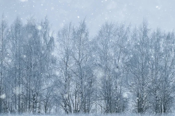 Invierno Ramas Sombrío Día Nieve Fondo Textura Diciembre Naturaleza Nieve — Foto de Stock