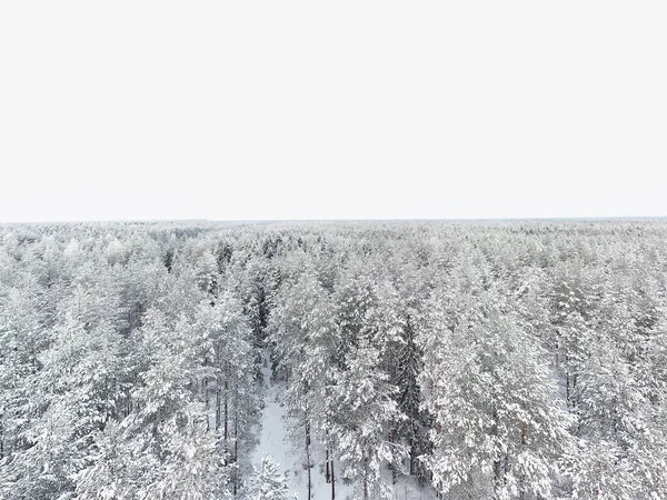 Górny Widok Las Zimą Krajobraz Natury Śnieżnym Lesie Zdjęcie Lotnicze — Zdjęcie stockowe
