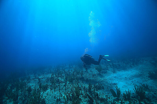 diver flippers view from the back underwater, underwater view of the back of a person swimming with scuba diving