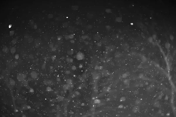 Sněhová Černá Pozadí Abstraktní Textura Sněhové Vločky Padající Obloze Překrytí — Stock fotografie