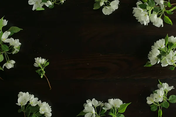 Abstrato Macieira Flores Fundo Primavera Desfocado Fundo Ramos Com Flor — Fotografia de Stock