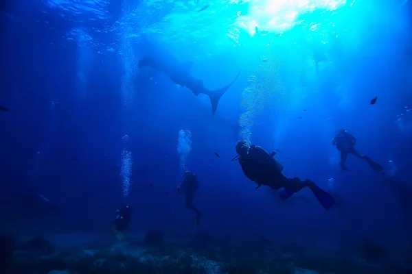 Diver Flippers View Back Underwater Underwater View Back Person Swimming — Stock Photo, Image