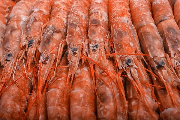 Camarões Rei Congelados Frutos Mar Fundo Macro Camarões Vermelhos Frescos — Fotografia de Stock