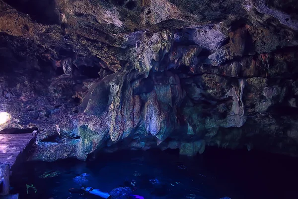 Grotte Sous Marine Stalactites Paysage Plongée Sous Marine Yucatan Mexico — Photo