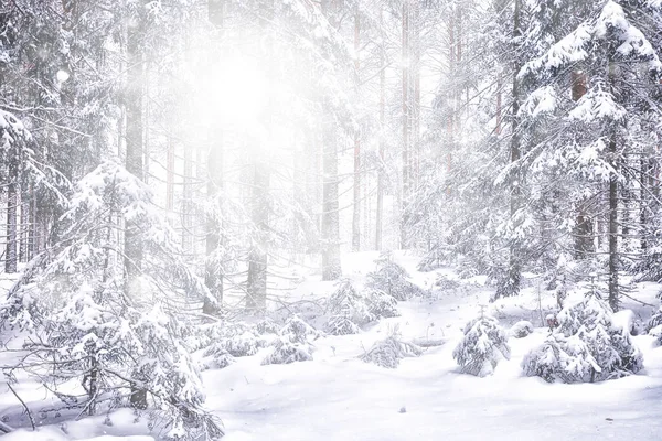 抽象的な雪の森の背景白い雪片が森の風景の中に落ちクリスマスの背景 — ストック写真