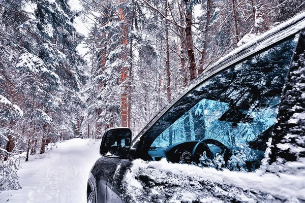 Coche Bosque Invierno Viajes Por Paisaje Bosque Nevado Navidad — Foto de Stock