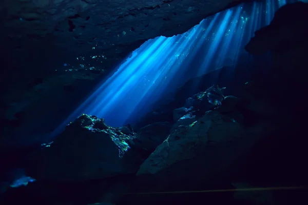 Podwodny Krajobraz Meksyk Cenotes Nurkowania Promienie Światła Pod Wodą Tło — Zdjęcie stockowe