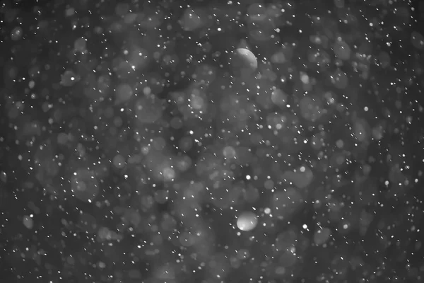 Snow Black Background Abstract Texture Snowflakes Falling Sky Overlay — Stock Photo, Image
