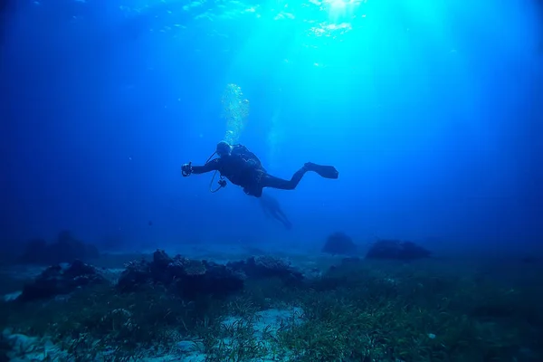 Дайвер Під Водою Незвичайний Вид Глибина Концепції Дайвінг Морі — стокове фото