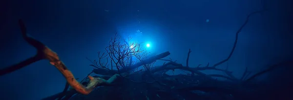 Táj Búvárkodás Cenote Víz Alatti Köd Hidrogén Szulfid Extrém Kaland — Stock Fotó