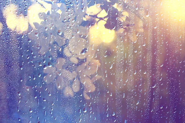 春の花雨滴抽象的な背景の花新鮮な雨 — ストック写真