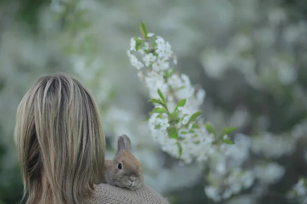 Mirada Primavera Niña Sosteniendo Conejo Saludos Pascua Hermoso Fondo Huerto —  Fotos de Stock