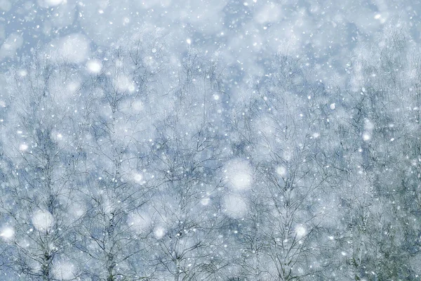 降雪林背景 白色雪花落在森林景观中 圣诞节背景 — 图库照片