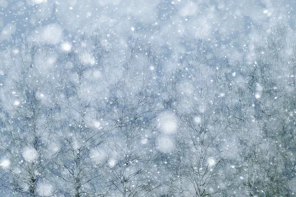 Abstrato Snowfall Floresta Fundo Flocos Neve Brancos Cair Paisagem Floresta — Fotografia de Stock