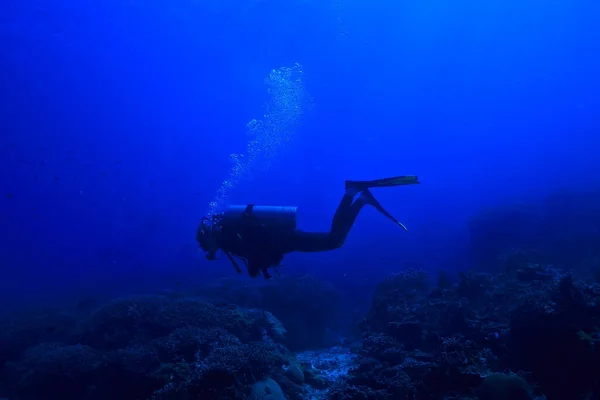Дайвер Водой Необычный Вид Глубина Концепции Дайвинг Море — стоковое фото