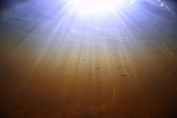 Lichtstrahlen Unter Wasser Frischer See Abstrakter Hintergrund Natur Landschaft Sonne — Stockfoto