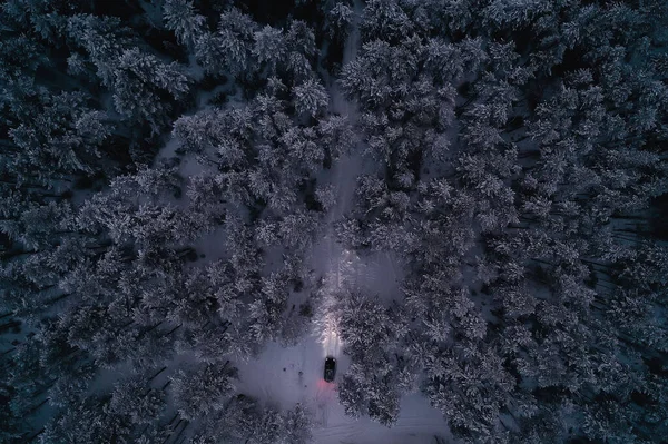 Huurauto Avond Bos Winter Bovenaanzicht Koper Aero Foto Landschap Winter — Stockfoto