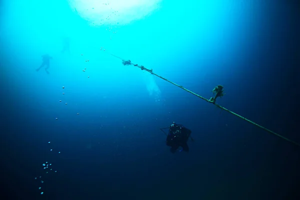 Plongeurs Dans Océan Sport Sous Marin Loisirs Actifs Dans Océan — Photo