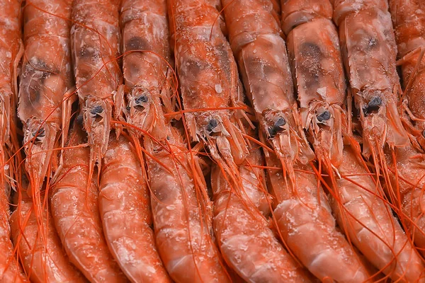 Camarões Rei Congelados Frutos Mar Fundo Macro Camarões Vermelhos Frescos — Fotografia de Stock