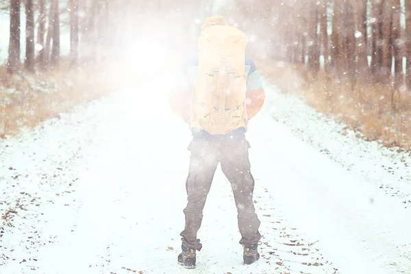 森林里背着背包的人旅行 美国森林里冬季的景色 北美的风景 — 图库照片