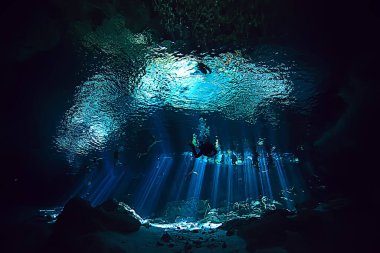 Meksika sualtı manzarası, suyun altında dalış ışınları, mağara dalışı