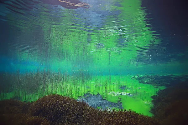 Vista Lago Submarino Paisaje Agua Dulce Ecosistema Agua Clara — Foto de Stock