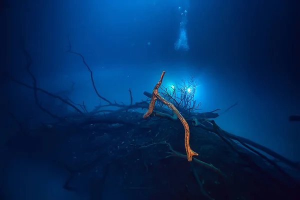 Mergulho Paisagem Cenote Sulfeto Hidrogênio Nevoeiro Subaquático Aventura Extrema México — Fotografia de Stock