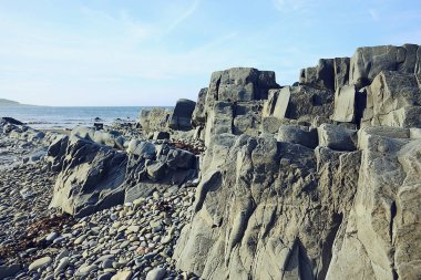 Göl manzarası, yaz manzarası, kuzeyin doğası, kıyı ekolojisi.