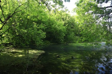 Sonbahar ormanlarındaki nehir, soyut manzara, küçük bir nehrin kıyısındaki ağaçlar.