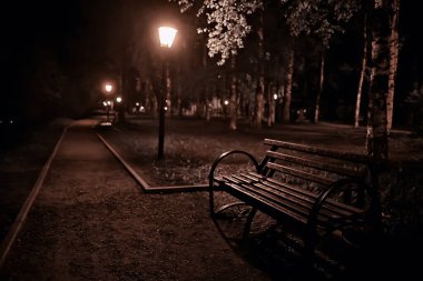 Park manzarasında gece, sokağın soyut görüntüsü, sonbaharda ağaçlar ve ışıklar bulanık arkaplan
