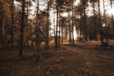 Rusya, Onega Gölü 'ndeki Murom Manastırı. Yazın kilise ve manzara inşa ediyor.