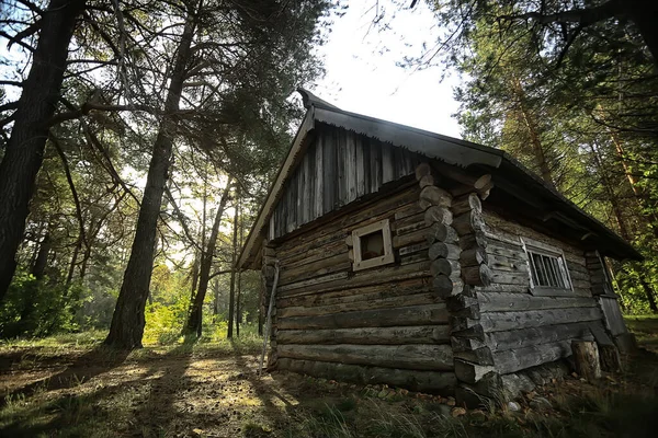 Outdoor Aktivitäten Tourismus Ferienhaus Kiefernwald Sommerlandschaft Sonniger Tag Natur Norden — Stockfoto