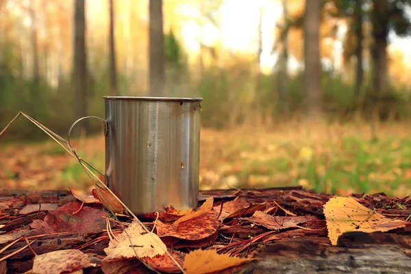 Taza Hierro Con Caliente Viaje Camping Estilo Vida Activo Otoño — Foto de Stock