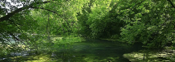秋天的森林景观中的河流 抽象地看 小河岸边的树木 — 图库照片