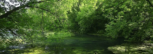 River Autumn Forest Landscape Abstract View Trees Banks Small River — Stock Photo, Image