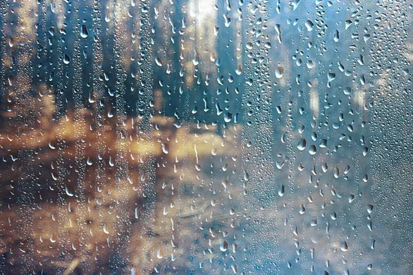 Paisaje Otoño Gotas Lluvia Salpicaduras Fondo Del Bosque Octubre Clima — Foto de Stock