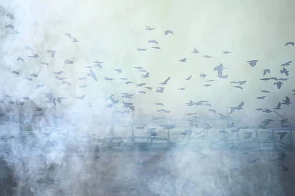 abstract blurred background, flock of black birds in flight, concept of sadness stress, autumn depression
