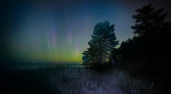 Nyári Táj Aurora Borealis Kilátás Ragyogás Elvont Éjszakai Természet — Stock Fotó