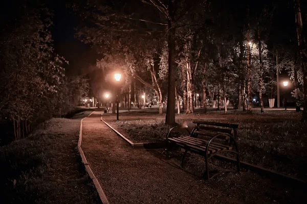 Noc Parku Krajina Abstraktní Pohled Uličku Stromy Světla Podzim Rozmazané — Stock fotografie