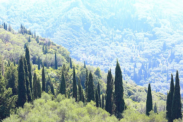 Zypresse Landschaft Griechenland Panoramablick Sommer Wetter Urlaub — Stockfoto