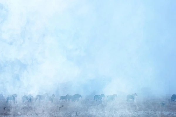 Abstrato Desfocado Fundo Inverno Cavalos Uma Paisagem Campo Nevado Neve — Fotografia de Stock