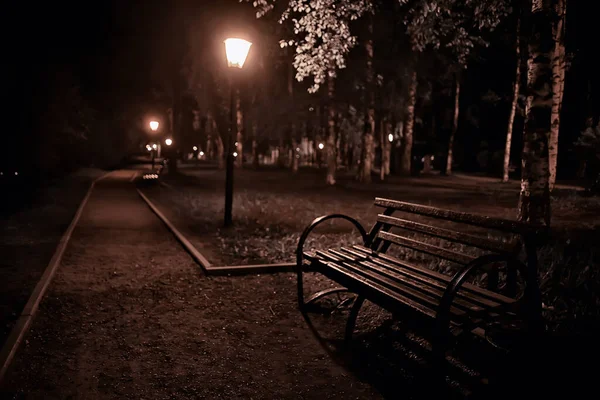 Nuit Dans Paysage Parc Vue Abstraite Sur Allée Les Arbres — Photo