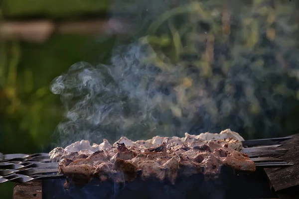 Grillfleisch Auf Kohlen Rauch Auf Eisenspießen Frischer Fleischhintergrund — Stockfoto