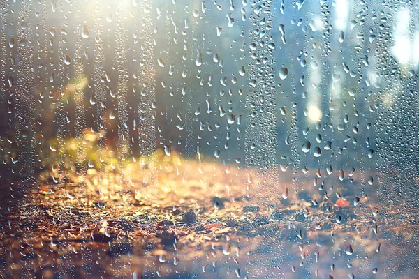 Paysage Automne Pluie Gouttes Éclaboussures Dans Fond Forêt Octobre Météo — Photo