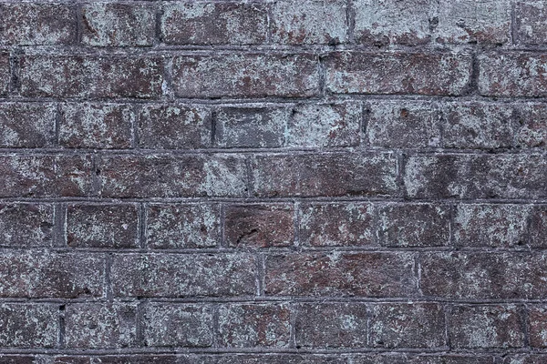 Steinfliesen Verkleidung Hintergrund Abstrakte Leere Steinwand — Stockfoto