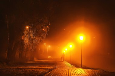 Park manzarasında gece, sokağın soyut görüntüsü, sonbaharda ağaçlar ve ışıklar bulanık arkaplan